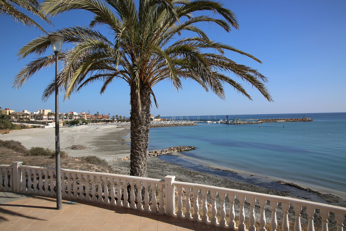 A seaside view features a palm tree casting a gentle shadow over a paved promenade. The calm waters of the Mediterranean reflect the clear blue sky, while a sandy beach and boats in the distance create a serene coastal ambiance.