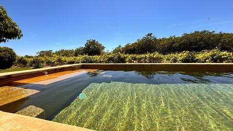 Magnifique mas avec piscine 10/12 personnes