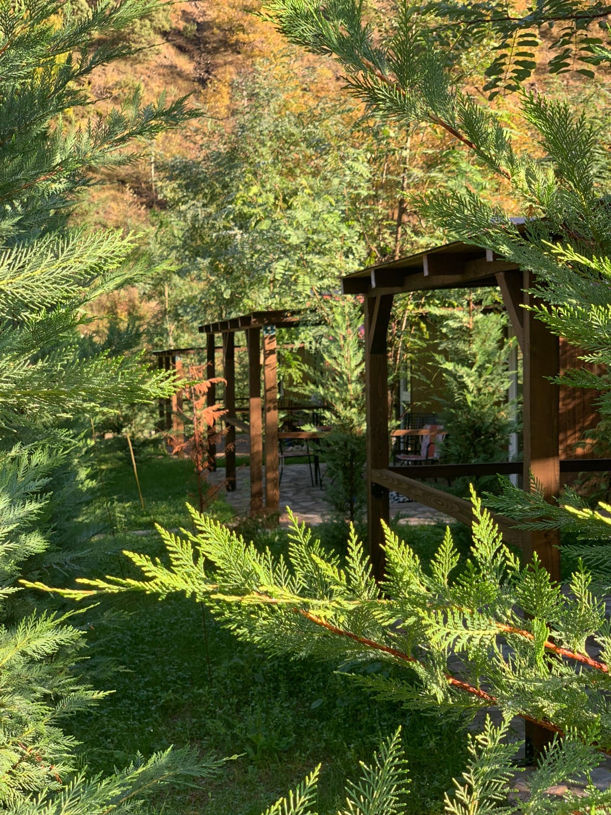 A pathway bordered by leafy greenery leads towards a sheltered area with wooden pergolas. The surrounding trees and foliage create a natural frame, enhancing the sense of privacy and tranquility within the cabin's outdoor space.