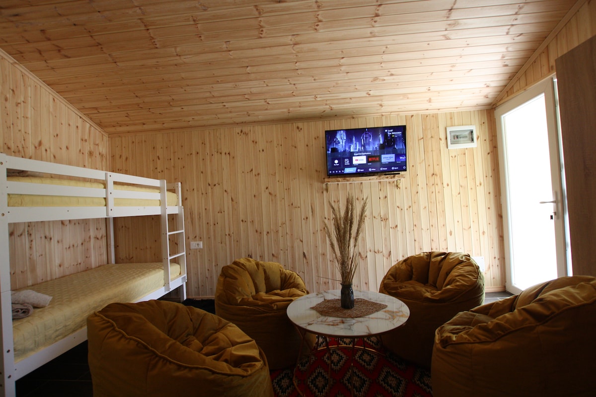 A cabin interior features light wood paneling on walls and ceiling. A bunk bed is placed against one wall, while three cushioned chairs surround a circular table at the center. A flat-screen TV is mounted on the opposite wall, providing entertainment options.