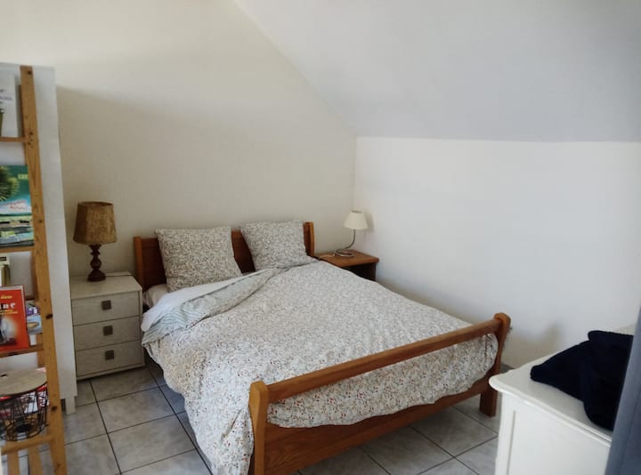 Lumineux Appartement 1 Pièce Meublé Portes Sundgau - Bartenheim