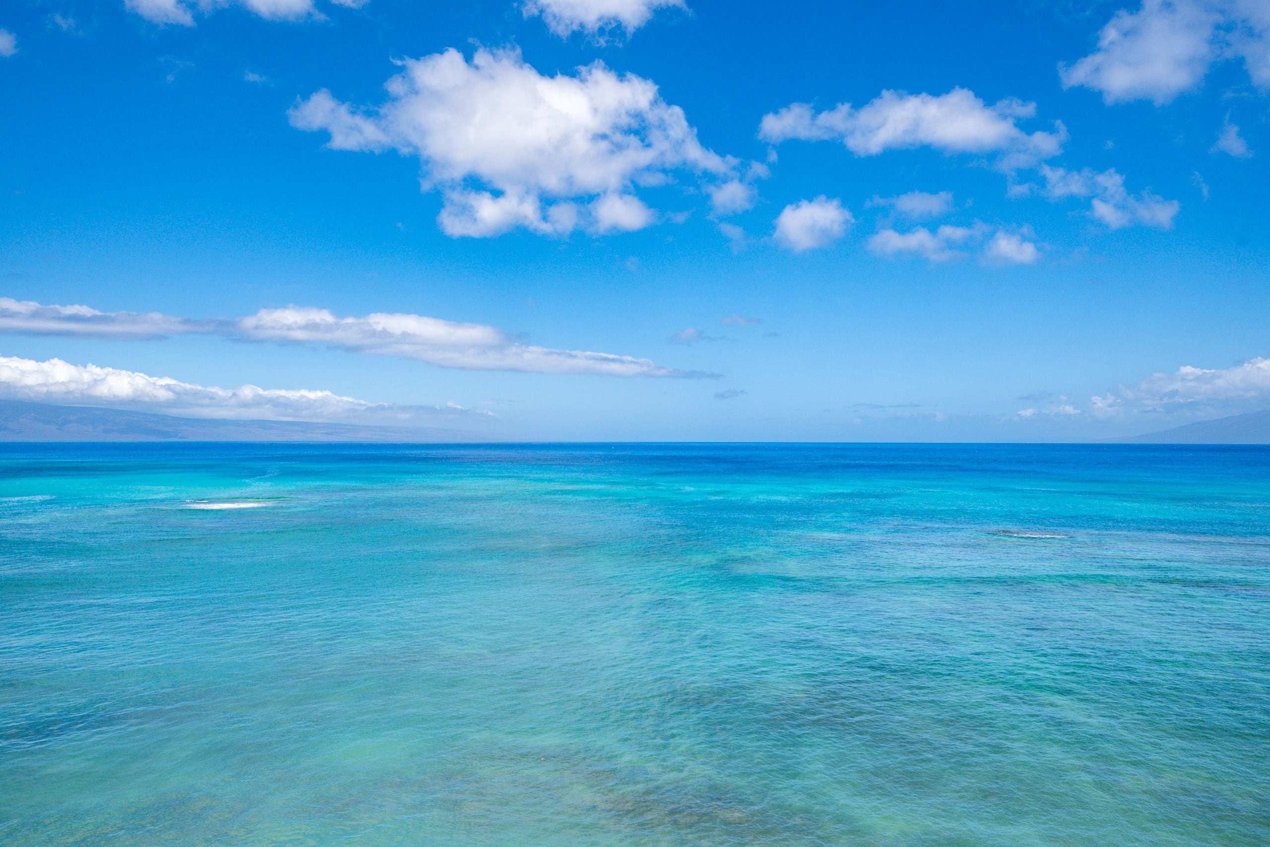 1BR 1BA Corner Condo with Unbelievable Ocean Views - Image 35