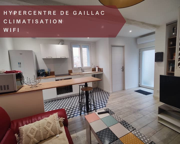 Appartement T2 Centre Ville - Gaillac