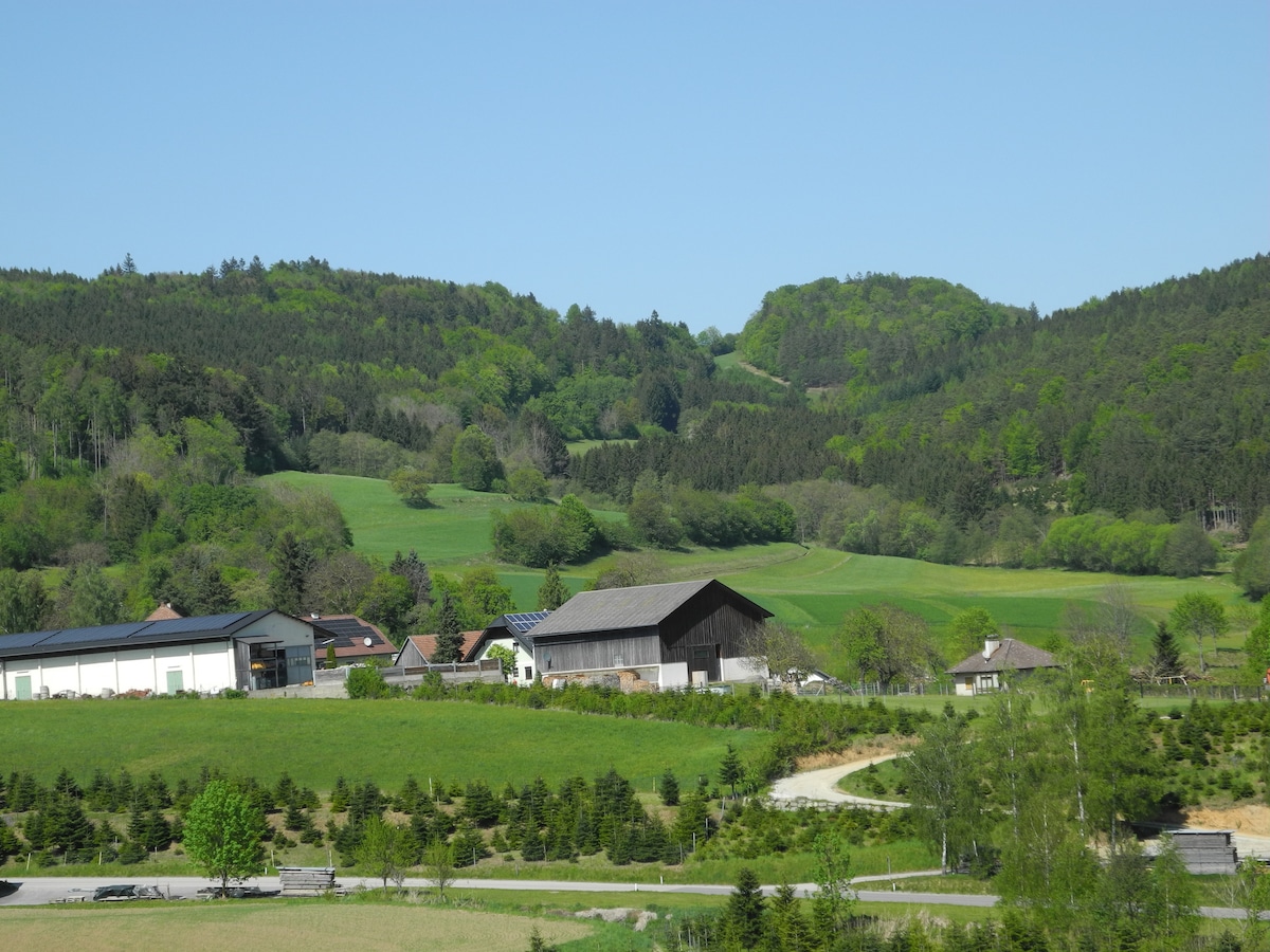 A panoramic view of a lush green landscape showcases gently rolling hills and trees under a clear blue sky. A mix of agricultural buildings and homes can be seen, integrated harmoniously into the natural surroundings.