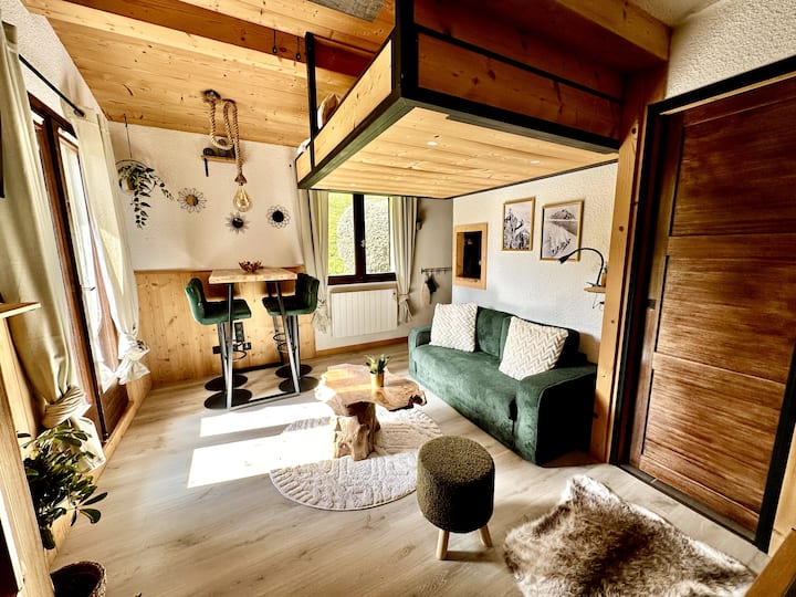 Appartement De Charme Vue Mont Blanc - Combloux