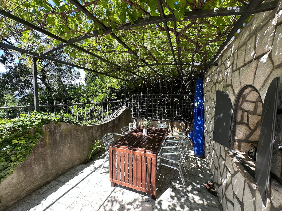 Apartman Velvet Vista 1