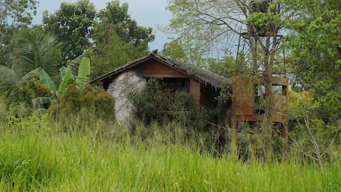 Authentic Jungle House