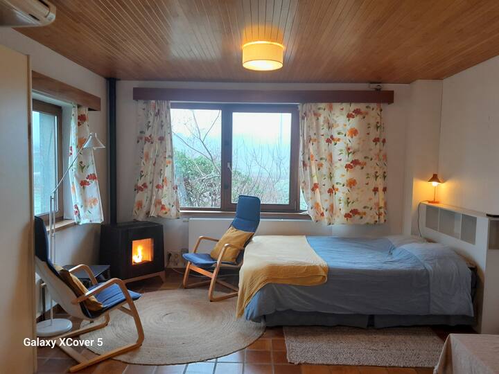 Studio: La Muvuca - Neufchâteau