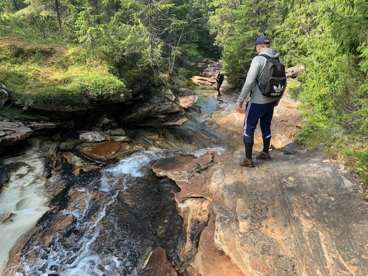 A rocky pathway lined with lush greenery leads alongside a gentle stream. Water flows over smooth stones, creating a serene atmosphere. Two individuals can be seen navigating the terrain, emphasizing the natural beauty and tranquility of the area.
