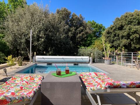 House with pool, cabin and wooded garden!