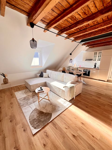Duplex apartment with air conditioning + City +
