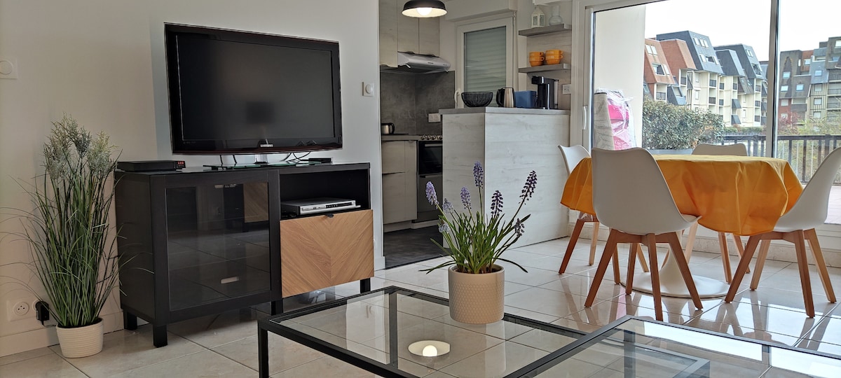 Top Airbnb: Waterfront/charming apartment/large terrace in Cabourg