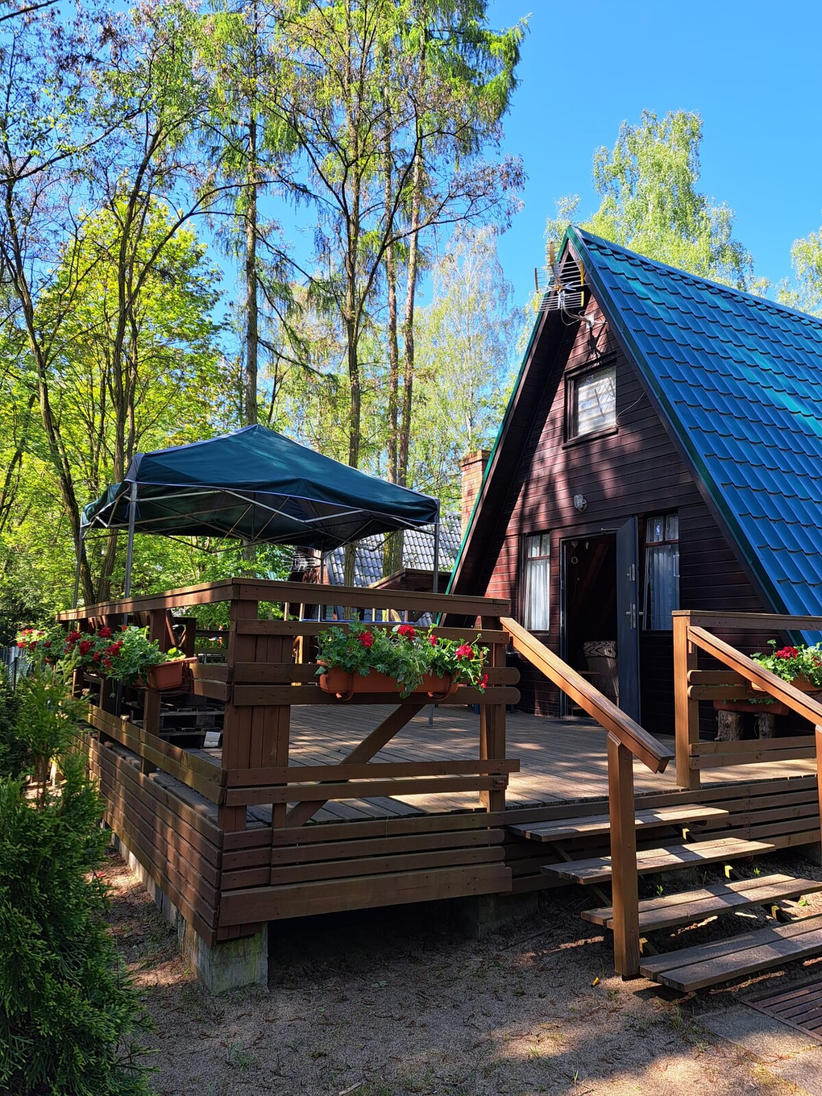 An A-frame cabin is surrounded by tall trees, showcasing a spacious wooden deck with flower planters. A green canopy provides shade over a seating area. Steps lead to the entrance of the cabin, inviting guests into a peaceful retreat.