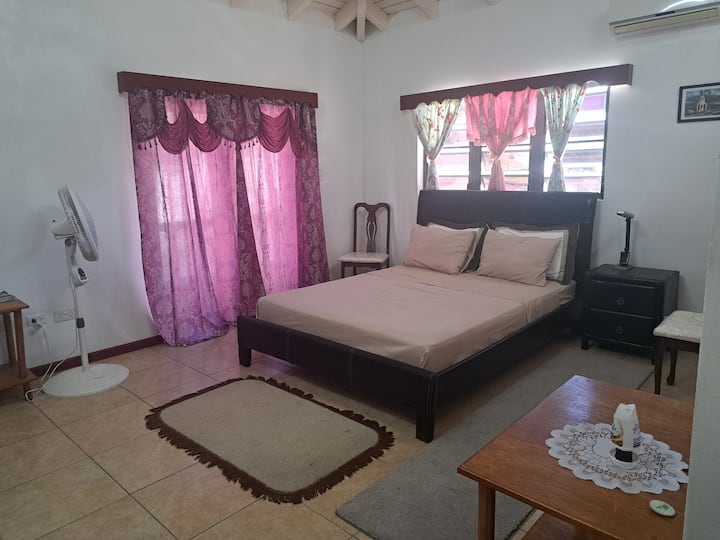 Seaview Apartments - Queen Room - Montserrat