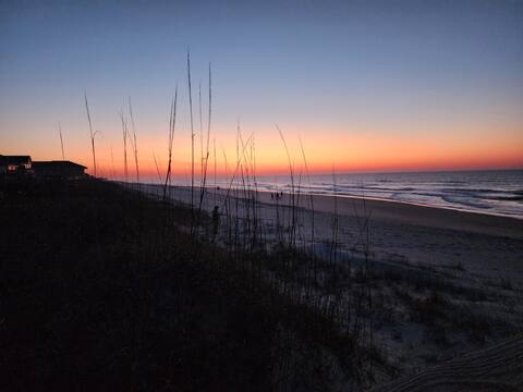 The Beach Willow