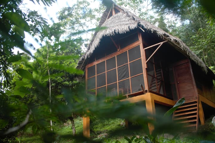 Cabaña Caimito, Selva Y Piscina - San Martín
