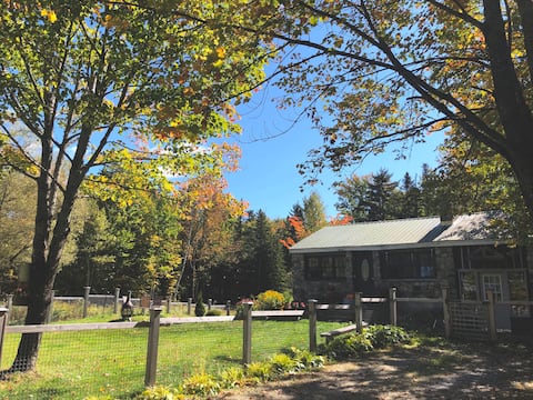 Euro-style Woodland Retreat-Great Northen Tea Haus