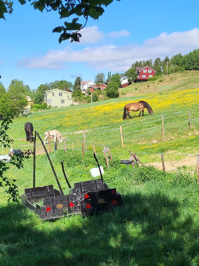 A tranquil scene showcases a vibrant green field dotted with yellow flowers. Two horses graze peacefully in the background, while a rustic cart is visible in the foreground, surrounded by lush grass and trees. Colorful houses are positioned on a hill in the distance.