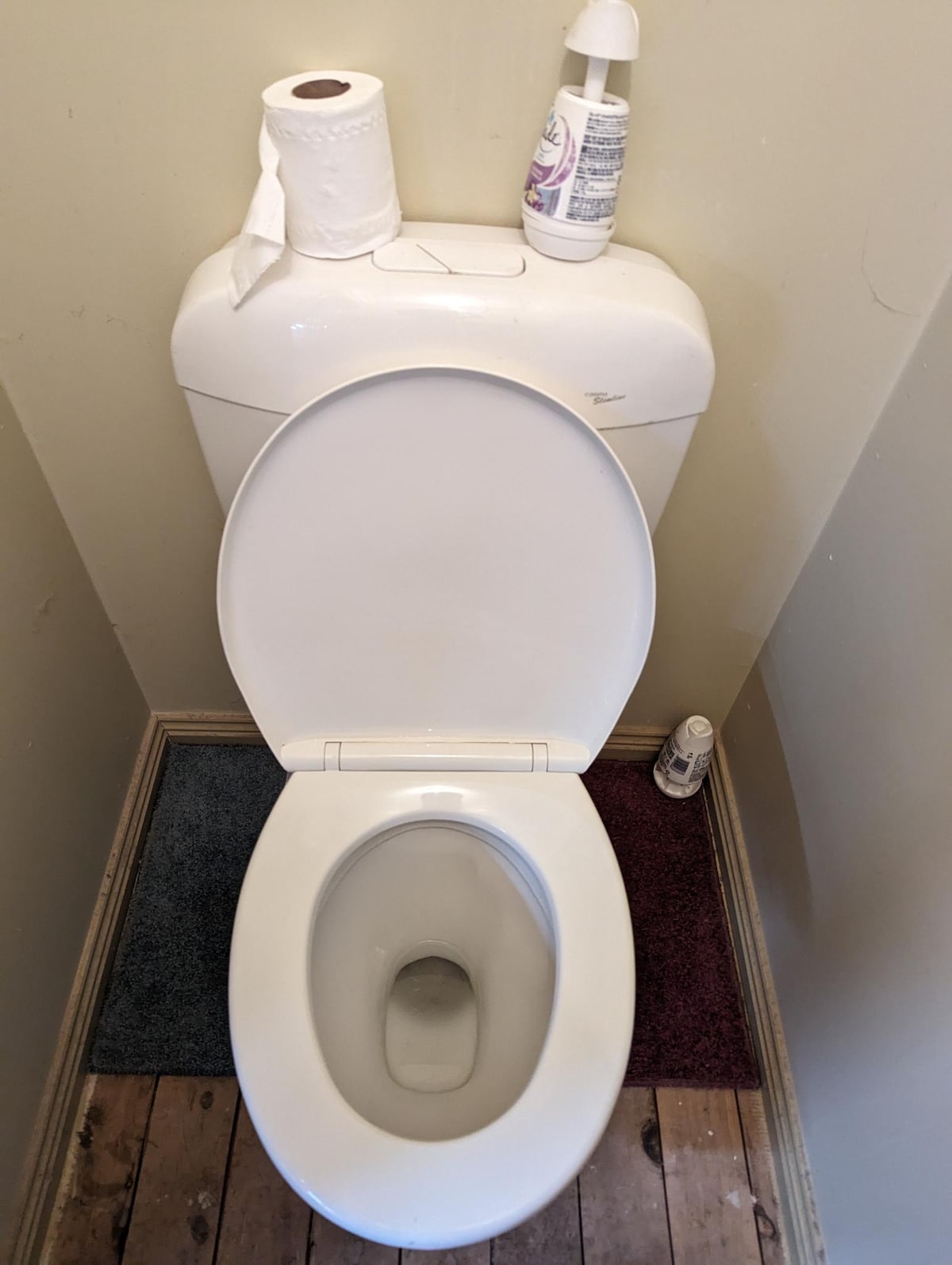 A clean, functional toilet is positioned on wooden flooring, with two small, textured mats in front. A roll of toilet paper and a bottle of cleaning supplies are placed on top of the tank for convenience.