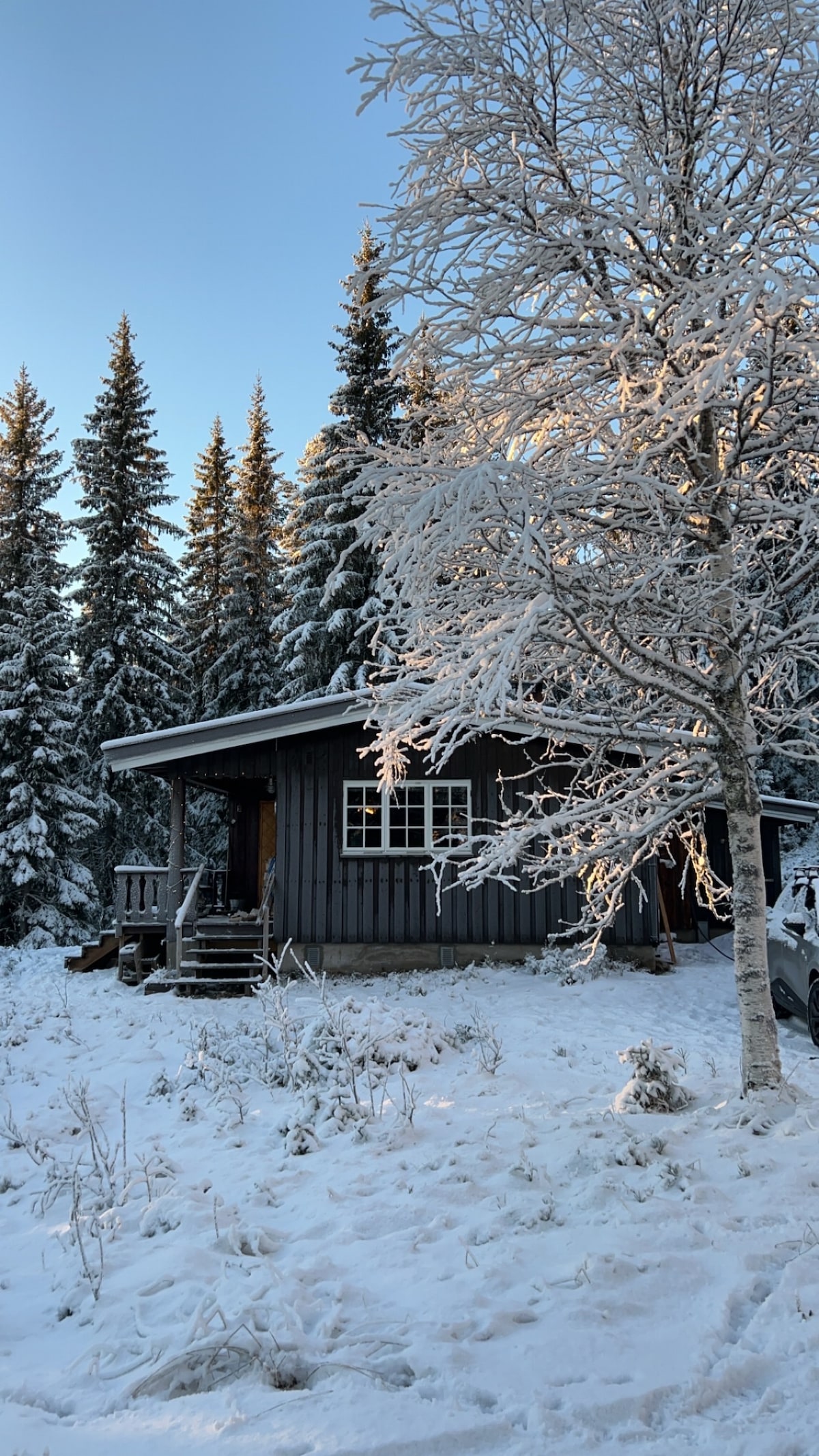 A wooden cabin surrounded by snow-covered trees is depicted, showcasing a welcoming entrance with steps leading up to the door. Frosted branches reflect the sunlight, enhancing the serene winter landscape.