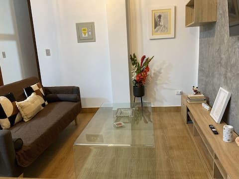 Successful Airbnb property: Stylish apartment in San Martín