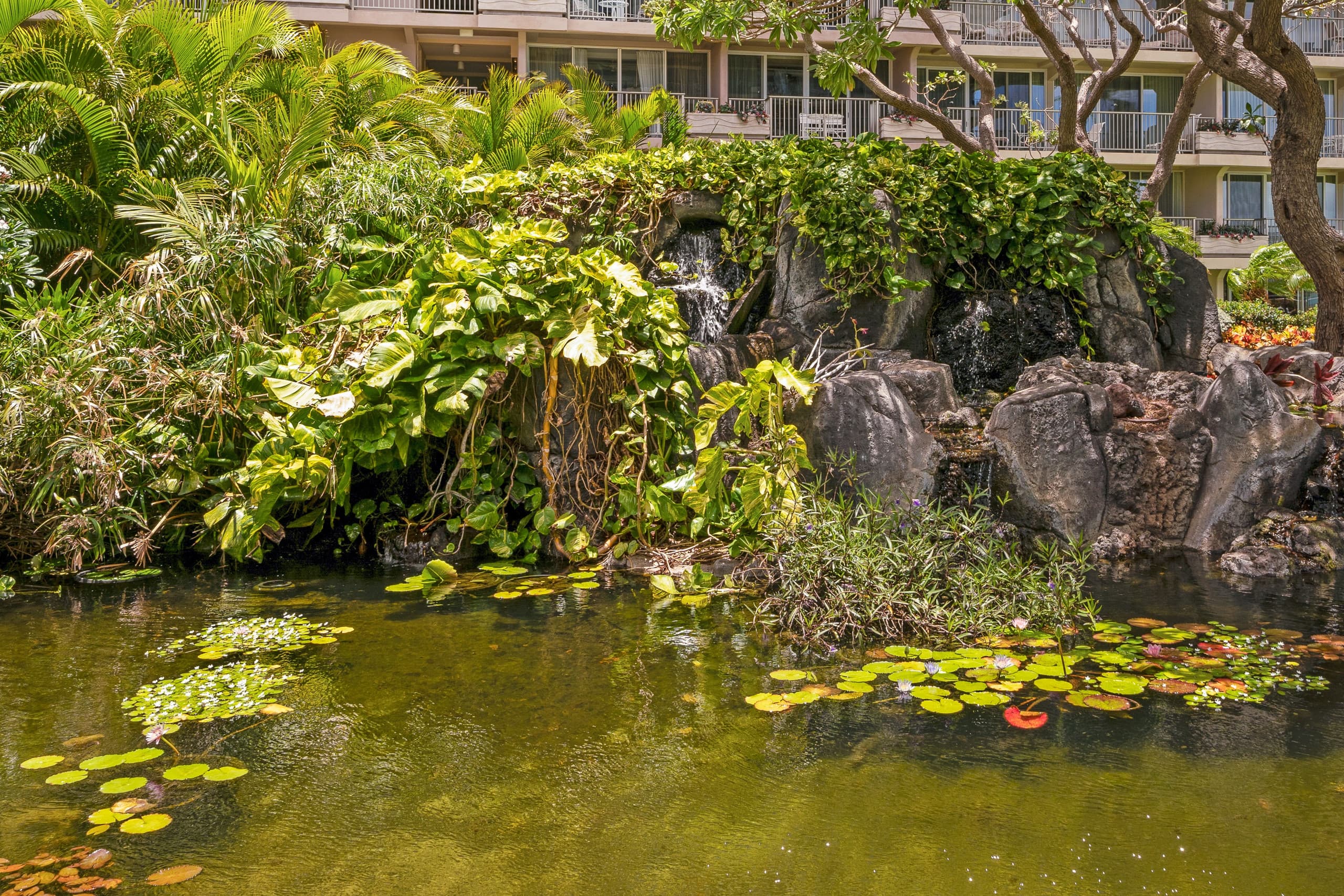 The Whaler On Ka'anapali Beach, Partial Ocean View - Image 56
