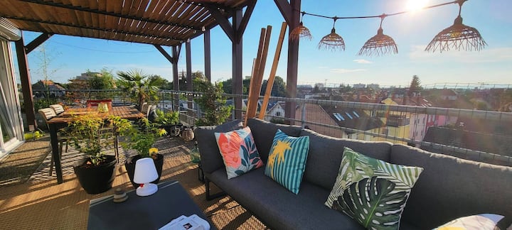 Magnifique Rooftop En Duplex - Bischheim