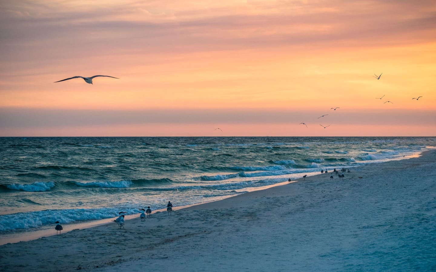 Gulf sunset
