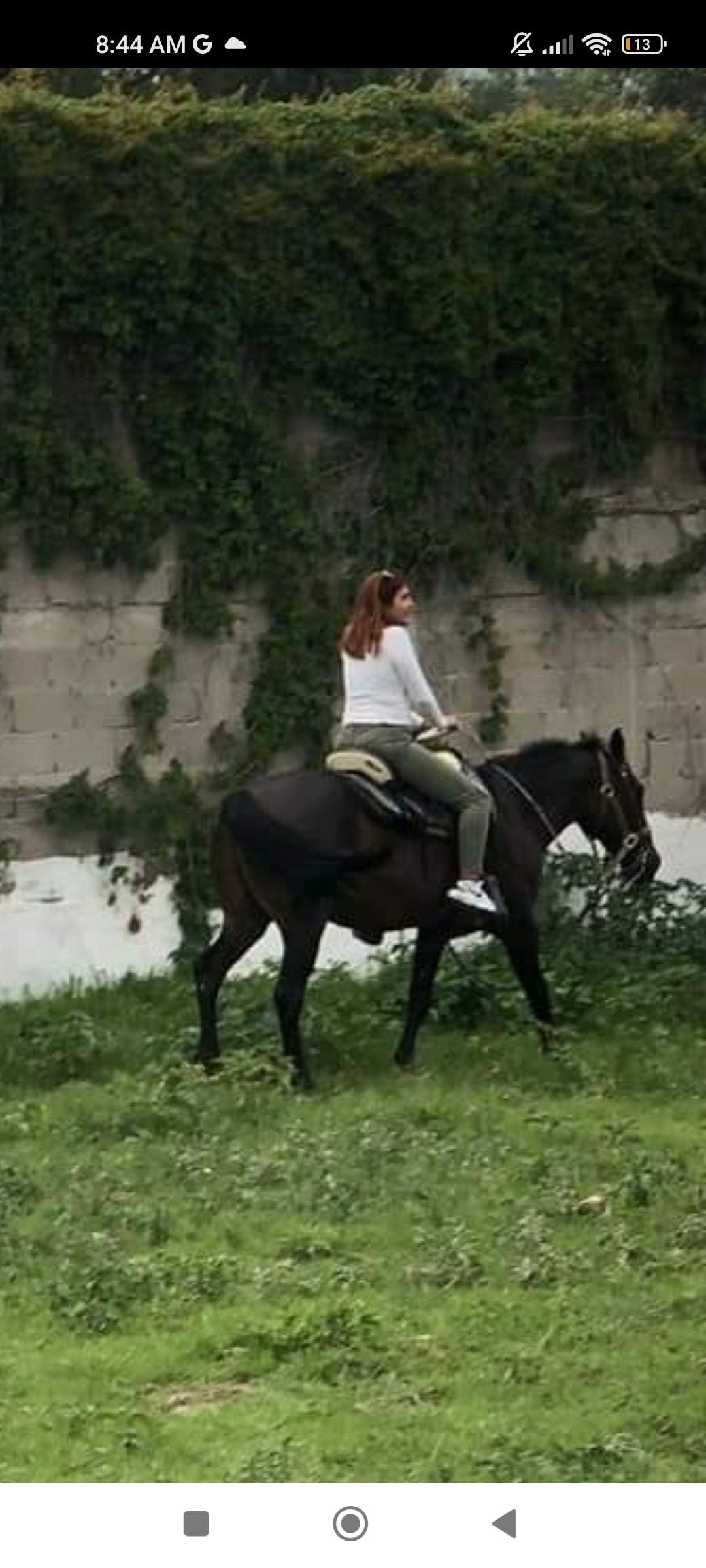 A rider is seated atop a dark horse, traversing a grassy area. A stone wall partially covered in greenery is visible in the background, along with patches of grass scattered across the ground.