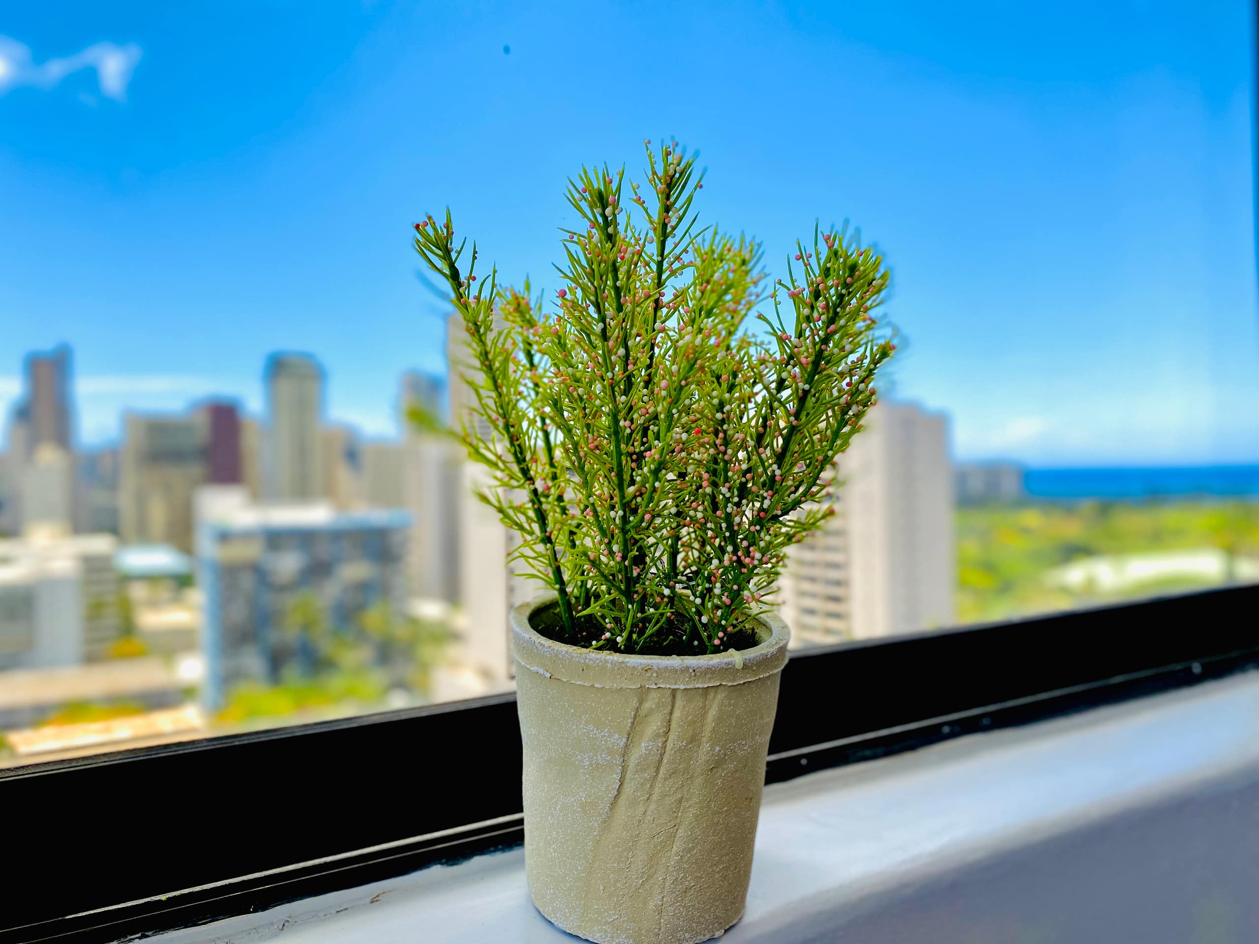 Waikiki Skyline Corner Ocean View Studio - Image 4