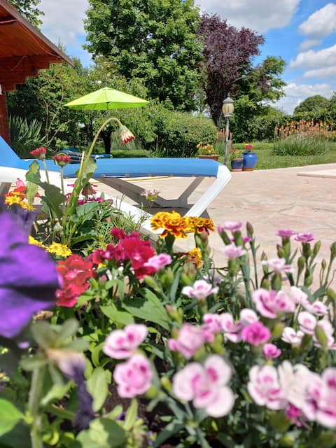 Nature, swimming pool and sauna an hour from Paris!