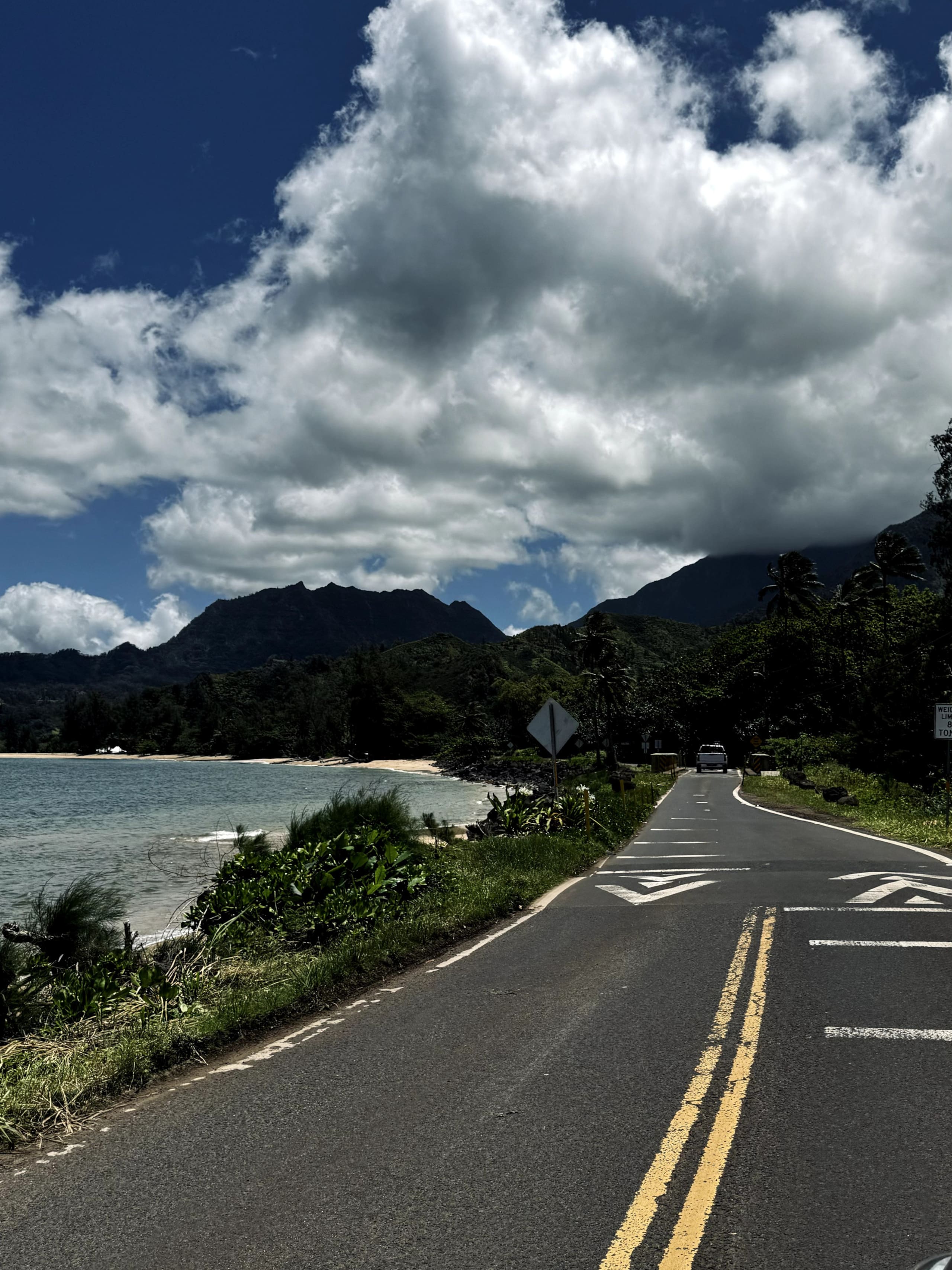 Tropical Studio Retreat w/AC 9min to Hanalei Bay - Image 24