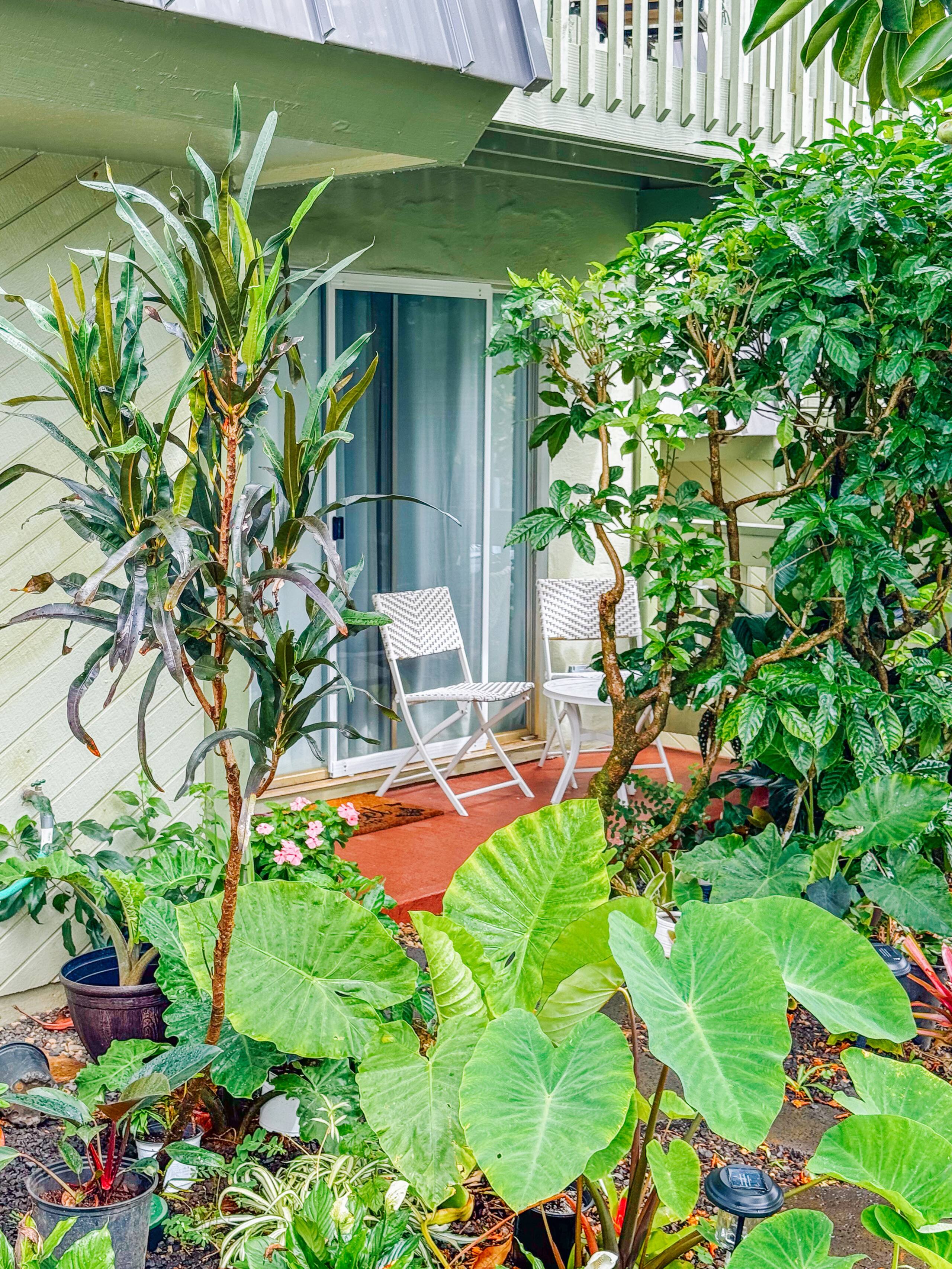 Tropical Studio Retreat w/AC 9min to Hanalei Bay - Image 7