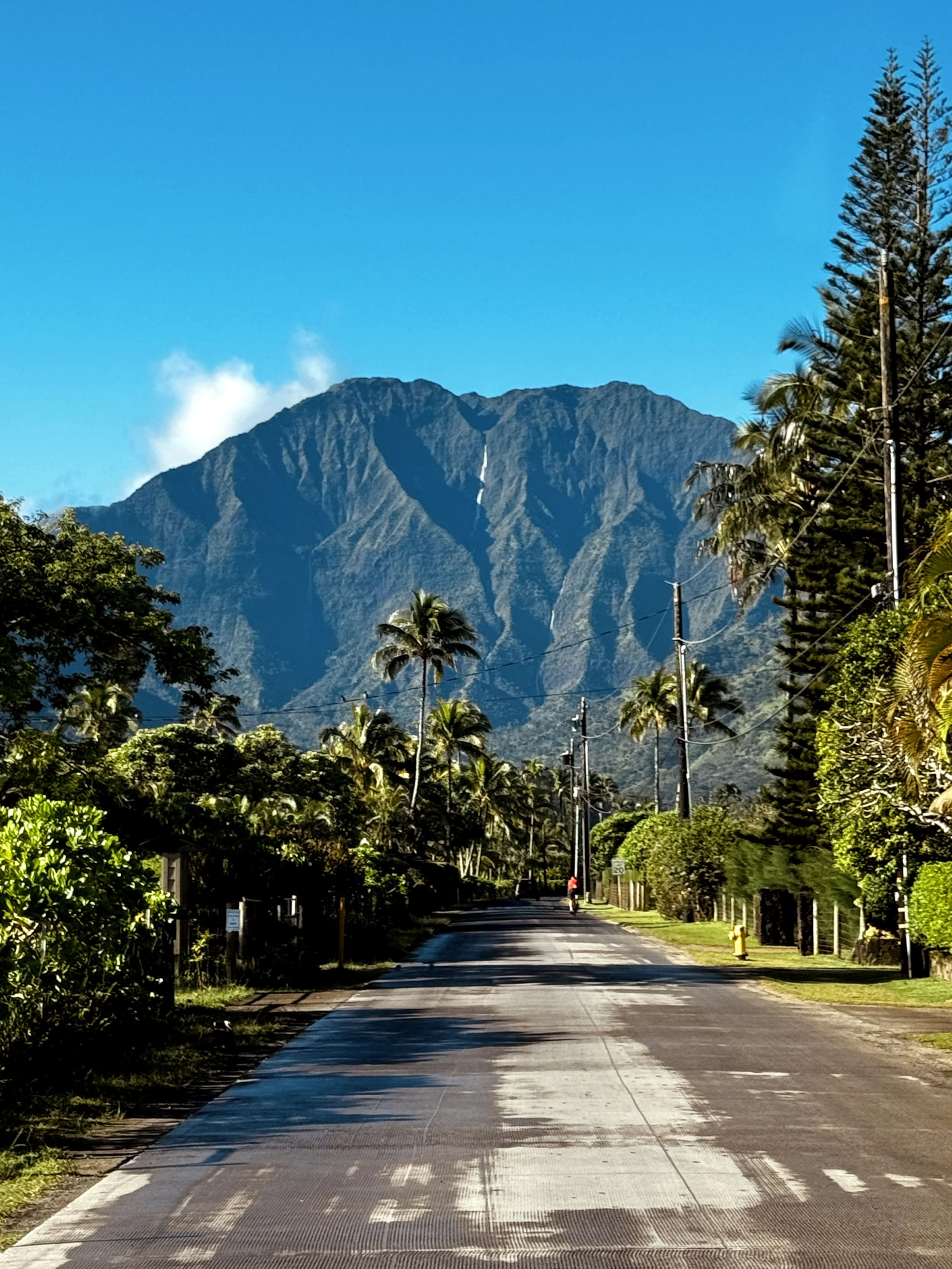Tropical Studio Retreat w/AC 9min to Hanalei Bay - Image 22