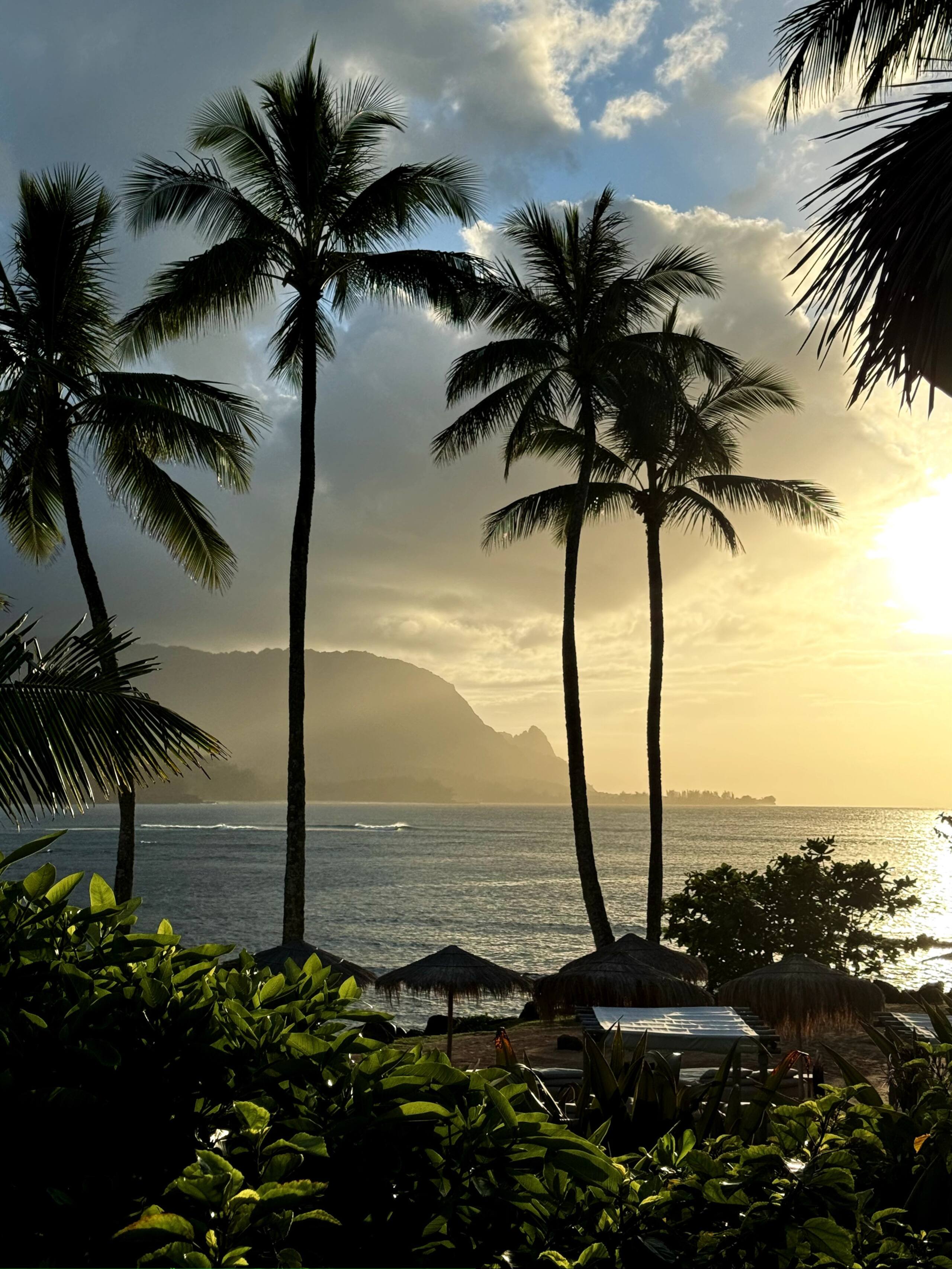 Tropical Studio Retreat w/AC 9min to Hanalei Bay - Image 17
