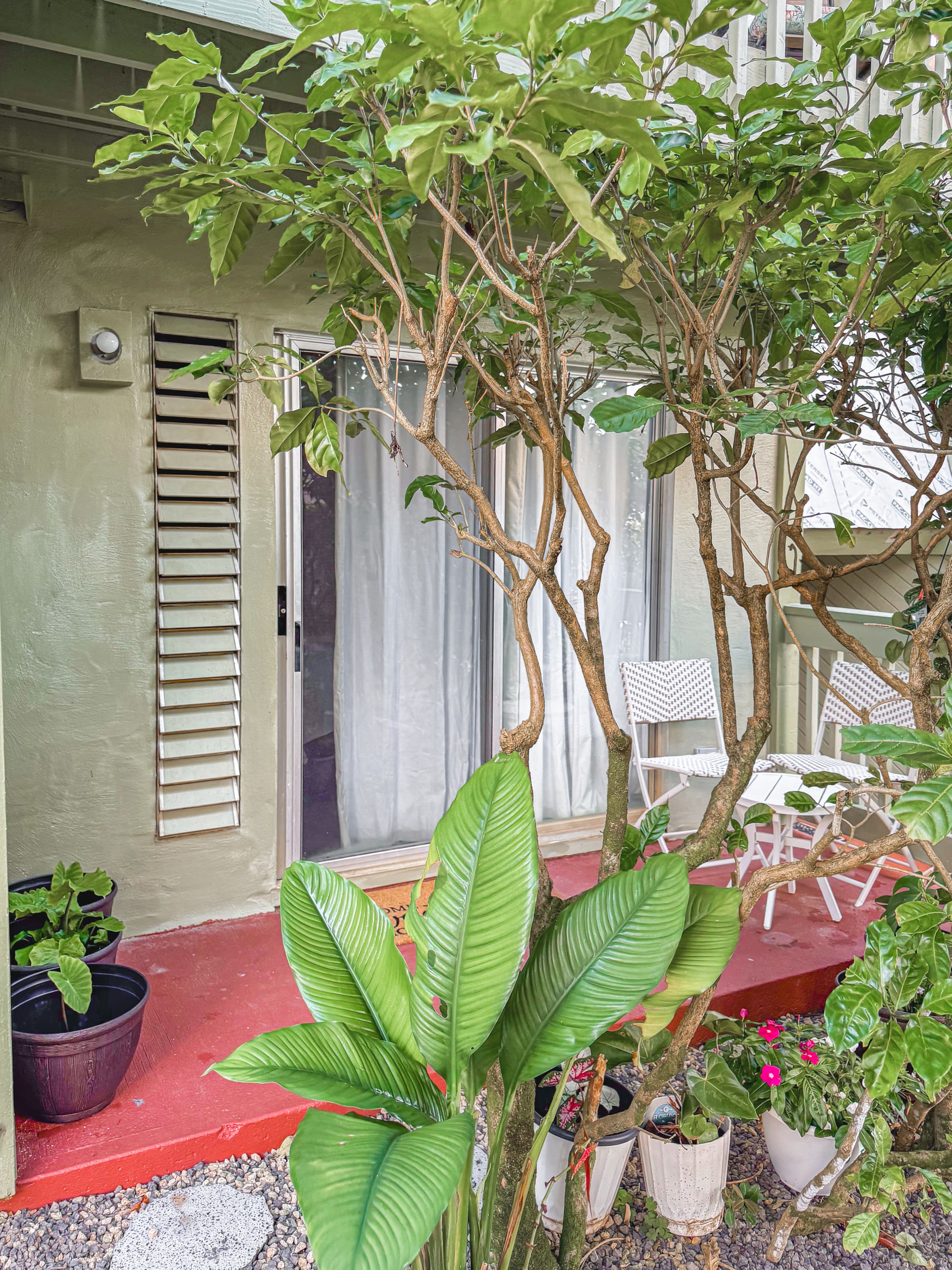 Tropical Studio Retreat w/AC 9min to Hanalei Bay - Image 9