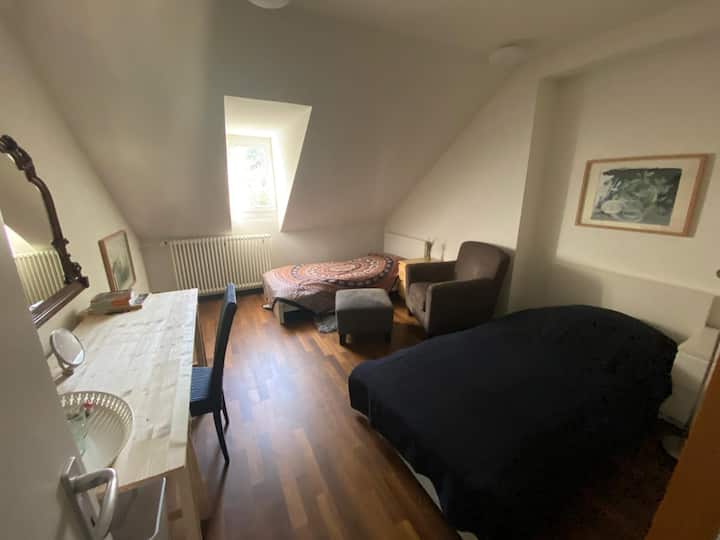 Izba „Dirk Haupt“ - dvojposteľová. Lôžka môžu byť usporiadané podľa želania.

Naše izby sa volajú po najviac prevládajúcom alebo najvýraznejšom umelcovi, ktorého prácu v nich nájdete… Takže máme Hallscheidt, Vanelslande a Dirk Haupt. V okolí však nájdete viac umelcov.