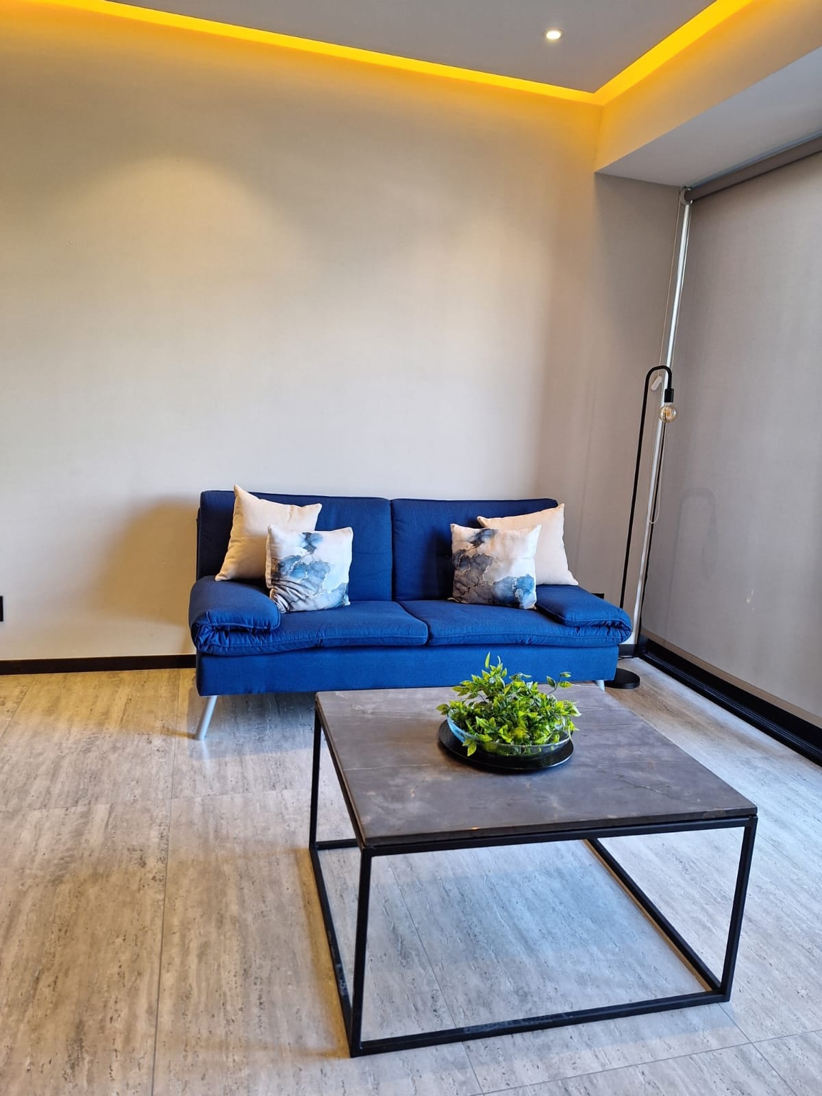 A compact seating area is presented with a blue sofa adorned with two decorative pillows. A small black coffee table, featuring a potted plant, occupies the center of the space. Natural light enters through large curtains, illuminating the contemporary design.