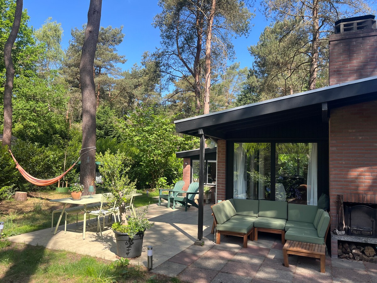 An outdoor patio area features a comfortable seating set, a dining table, and a hammock draped between trees. Lush greenery surrounds the space, with sunlight filtering through the branches, creating a serene environment for relaxation and gatherings.
