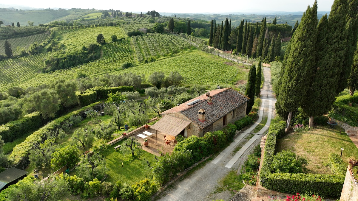 The image captures a Tuscan farmhouse, surrounded by lush vineyards and olive groves. A winding gravel road leads towards the property, which features a rustic stone structure with a tiled roof. The scene showcases rolling hills, framed by cypress trees under a clear sky.