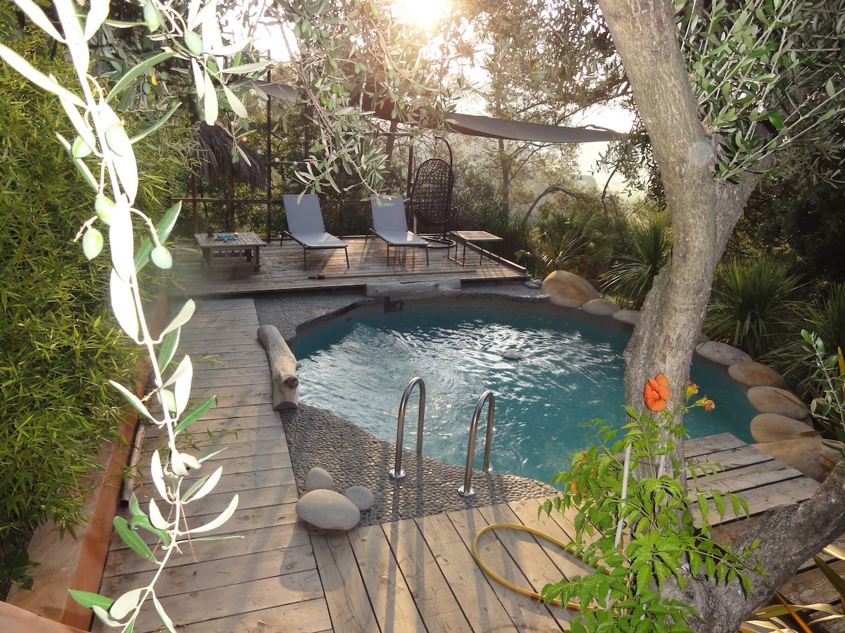 A private pool is surrounded by wooden decking and lush greenery. Two loungers are positioned beside the water, while a charming hanging chair is nestled in a serene corner. The sun casts a warm glow over the scene, enhancing the tranquil ambiance.