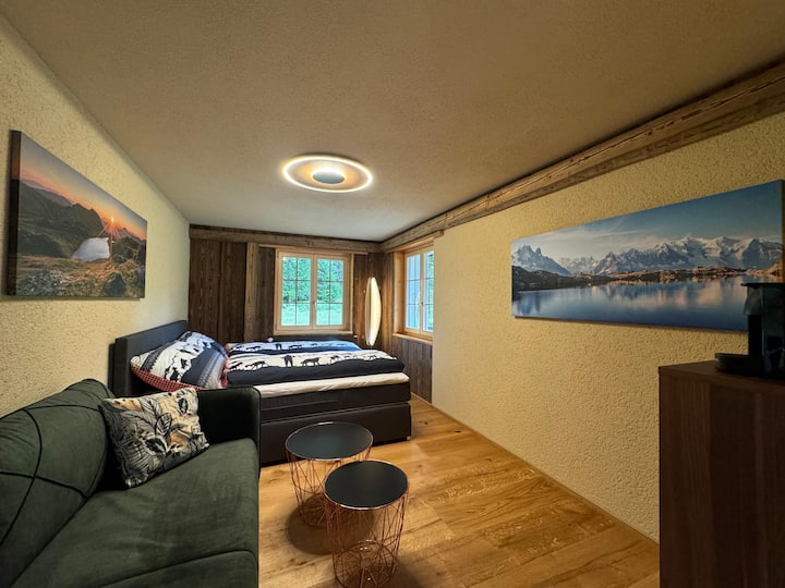 Izba 3 s pružinovou manželskou posteľou v garsónkovom apartmáne na prízemí