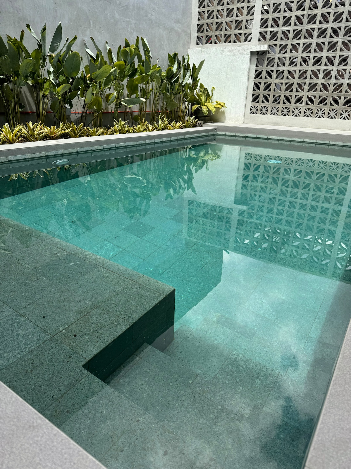 A private pool is surrounded by lush greenery, featuring a clean and clear water surface. Natural stone tiles lead to a shallow entry area, while textured walls add a subtle background to the tranquil setting.