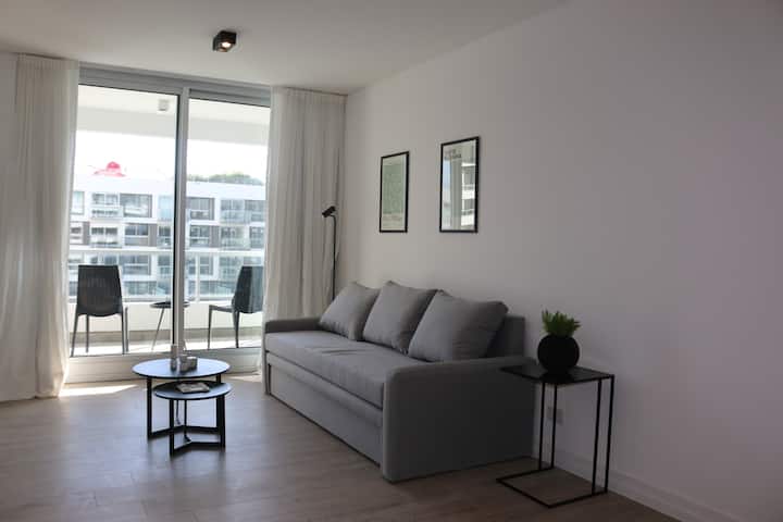Two-room apartment with gym, pool and spa in Colegiales