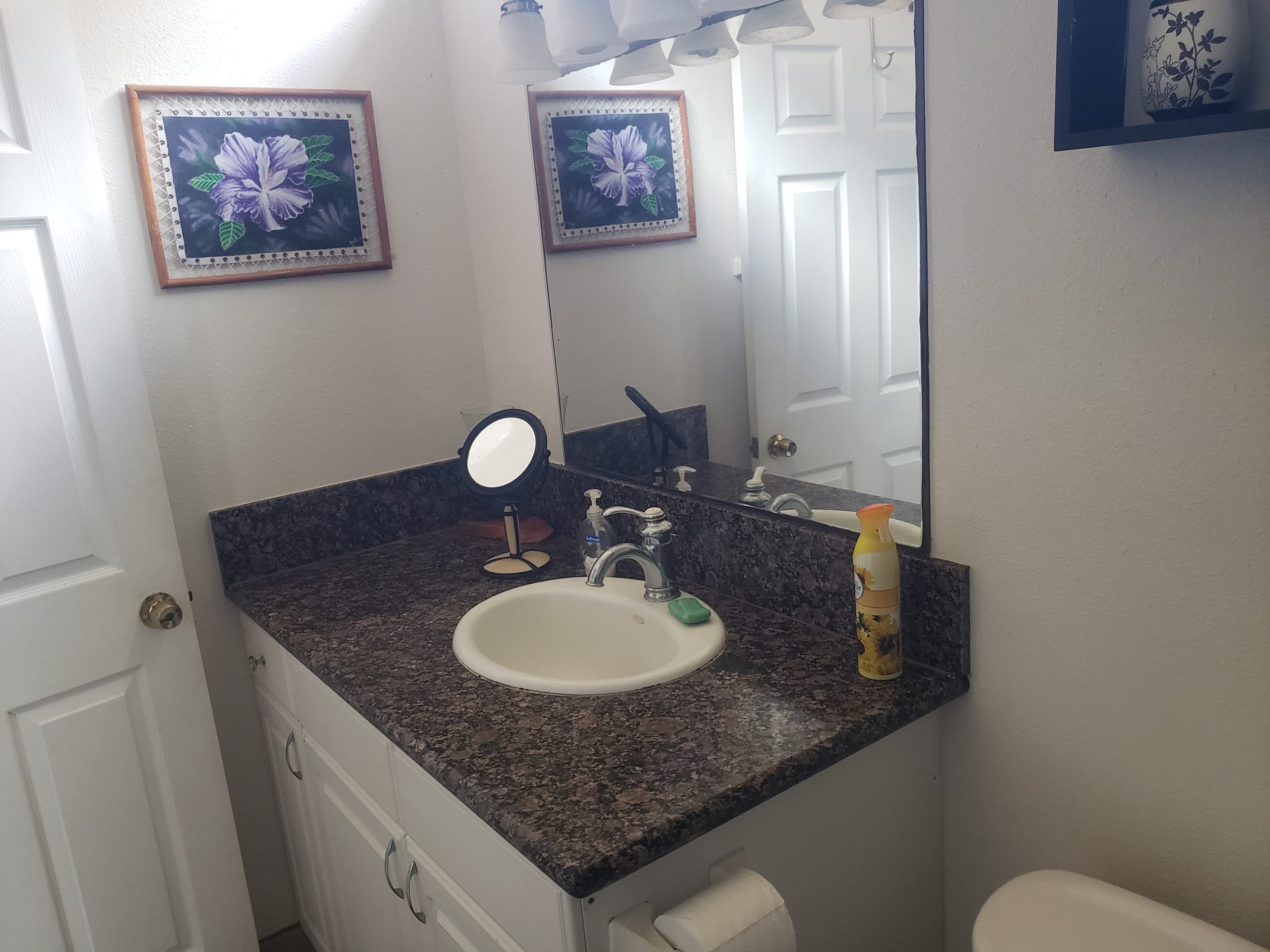 Home in Pahoa · ★4.9 · 1 bedroom · 2 beds · 1 private bath - Image 11