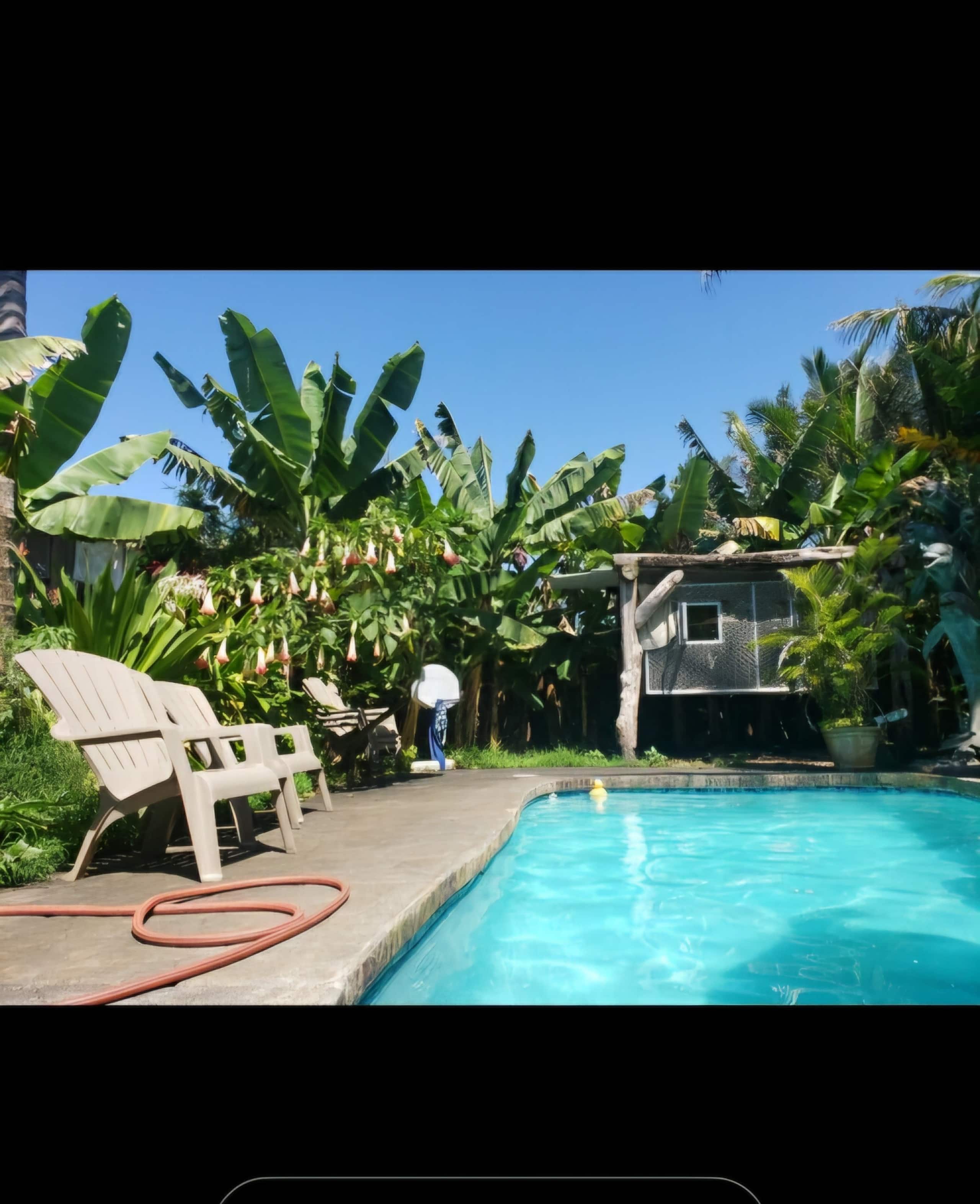 Home in Pahoa · ★4.9 · 1 bedroom · 2 beds · 1 private bath - Image 14