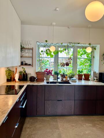 Sentral hagebyidyll gallery image 2