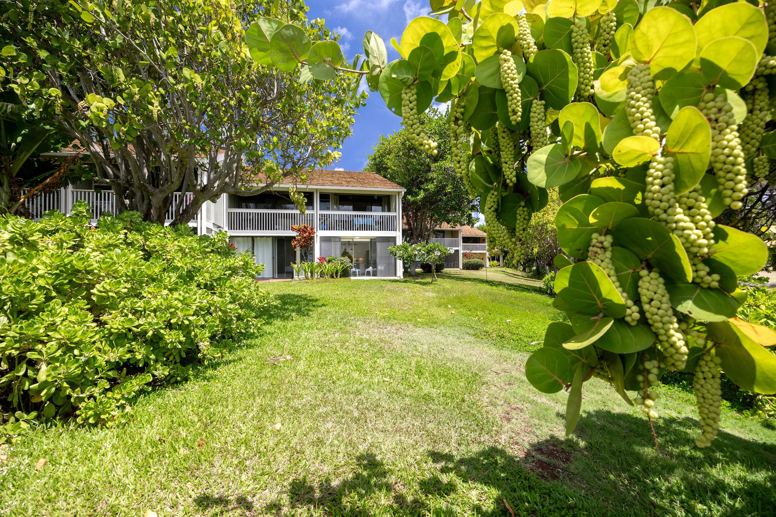 Condo in Kahuku · ★4.92 · 1 bedroom · 2 beds · 1 private bath - Image 54