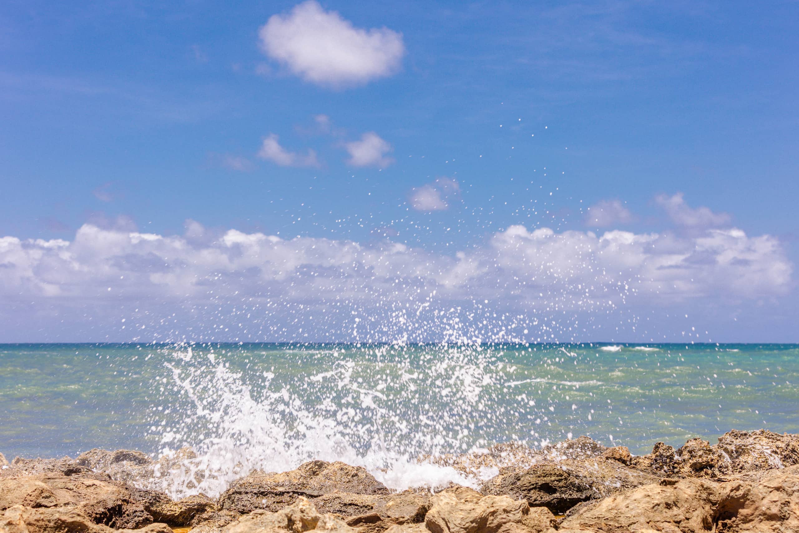 Condo in Kahuku · ★4.92 · 1 bedroom · 2 beds · 1 private bath - Image 76