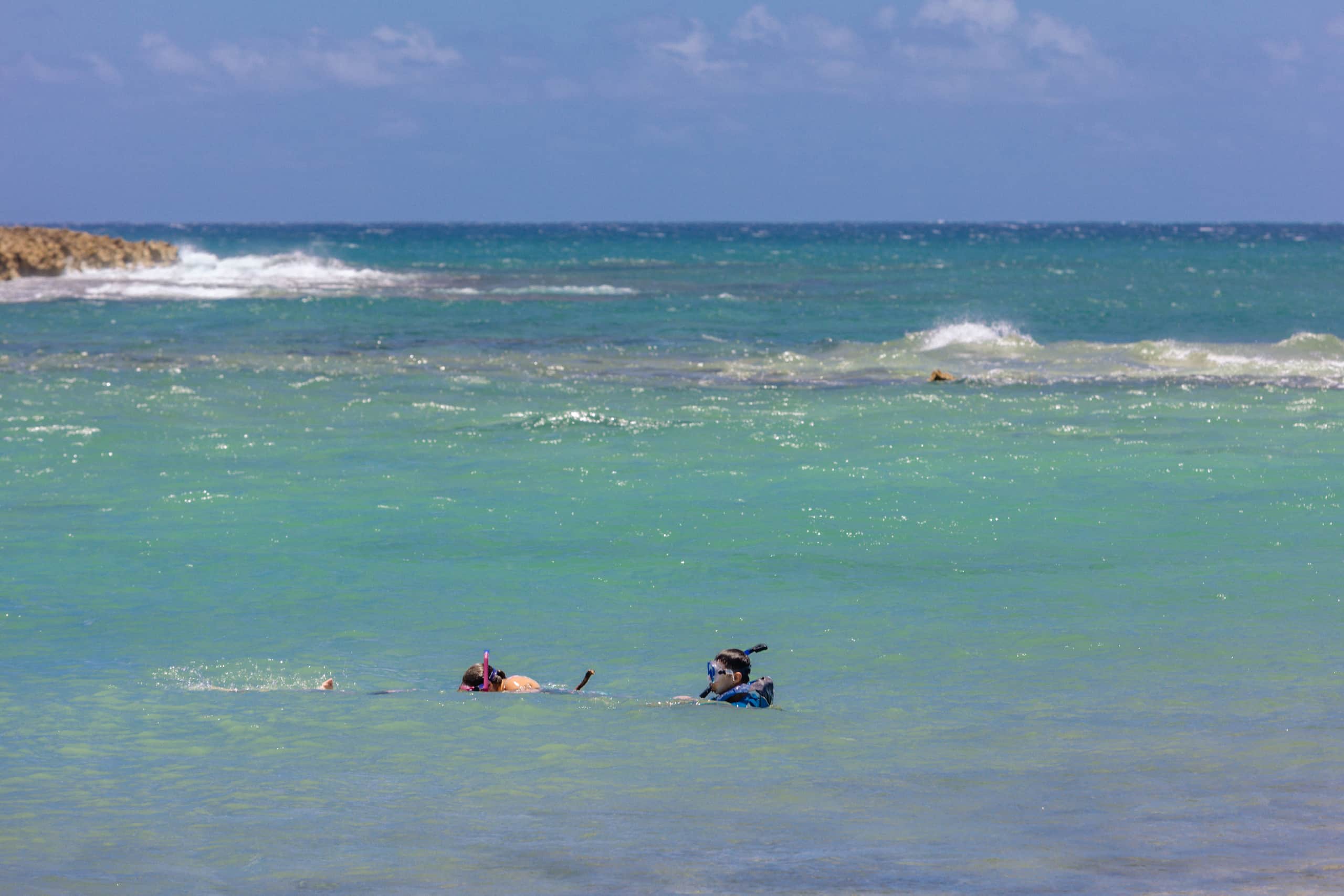 Condo in Kahuku · ★4.92 · 1 bedroom · 2 beds · 1 private bath - Image 74